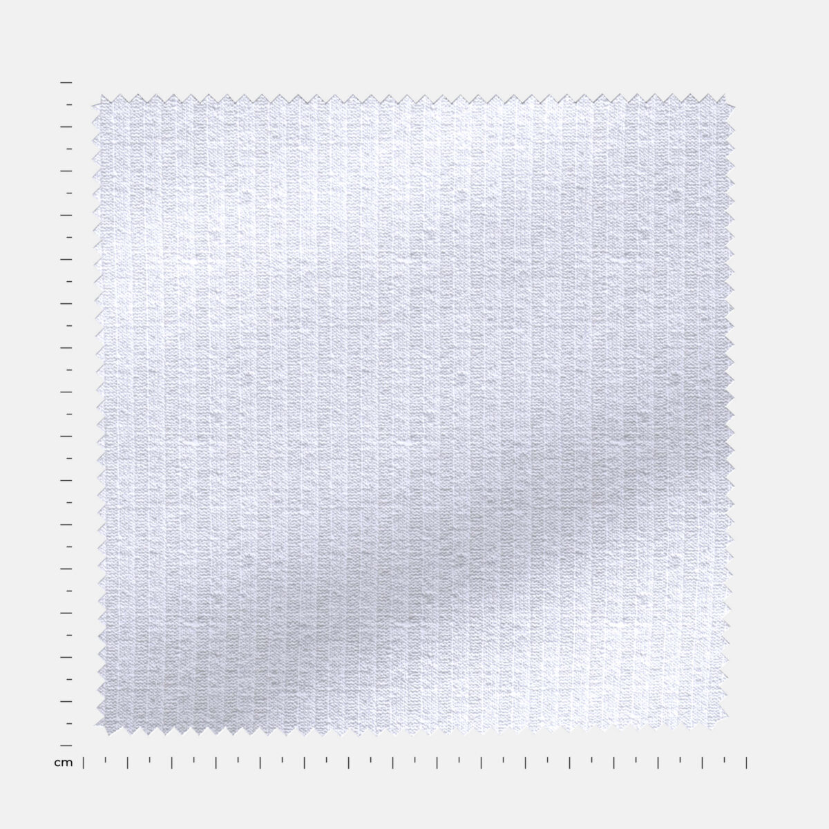BCKRIB03308 - Image 4