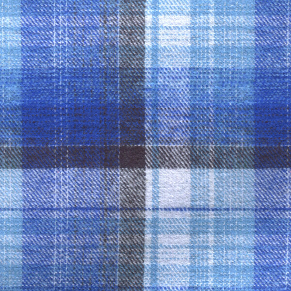 BCWFLA02818 - Image 4